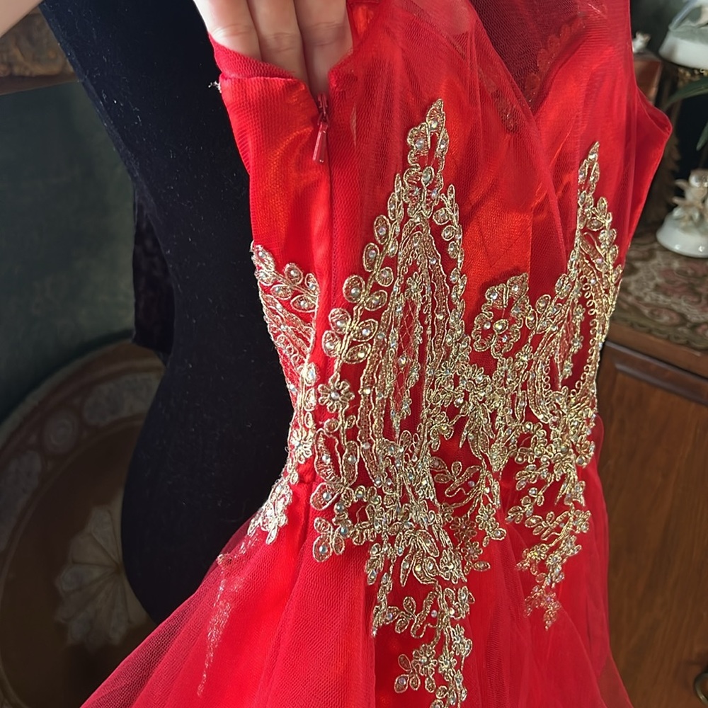 Anny Lee dress - Picture 5 of 8